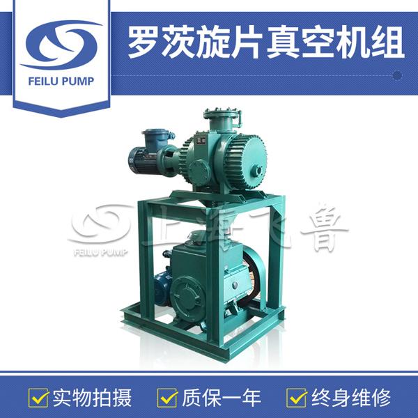 环氧树脂真空浇注用罗茨旋片真空机组